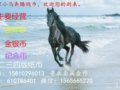 СRv15o(j)ŻФuio(j)Ż漈Bwn؈Ճr(ji)