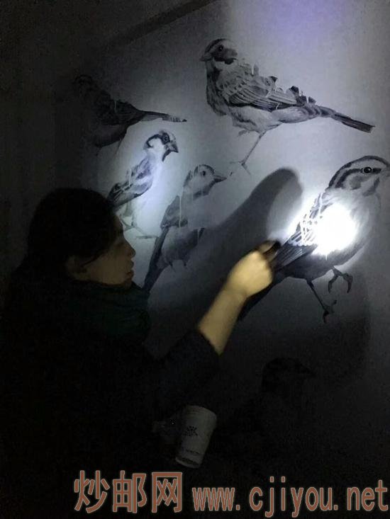 ڰе̽