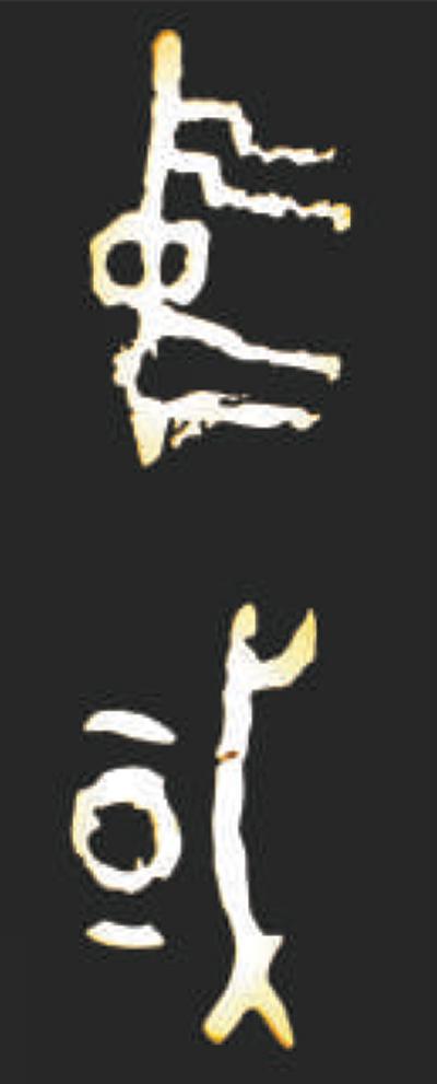  D4