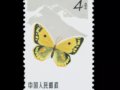 ]^@Щ^һǼٴ죡