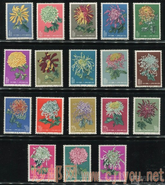 特44菊花新全(全品)